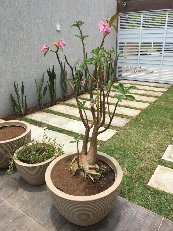 Casa De Praia Tamandaré Dış mekan fotoğraf